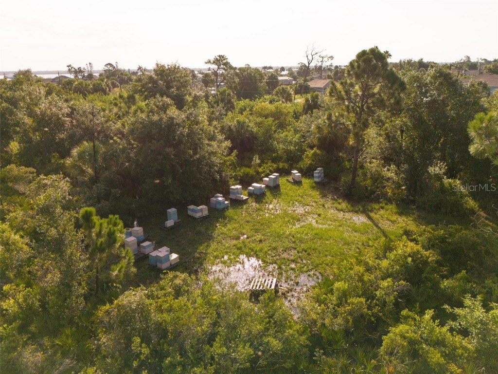 2925 Vance Terrace Port Charlotte FL 33981 - ANDERSON AND MYAKKA RIVER D6137863 image11