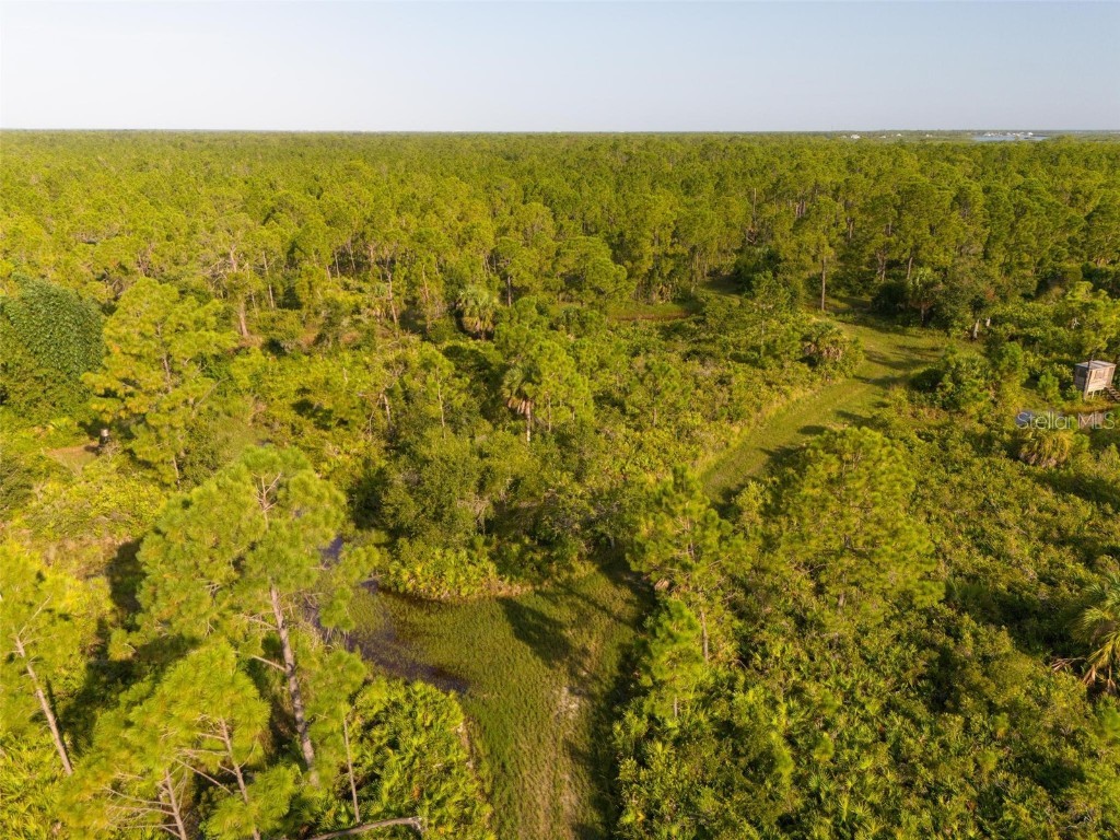 2925 Vance Terrace Port Charlotte FL 33981 - ANDERSON AND MYAKKA RIVER D6137863 image12