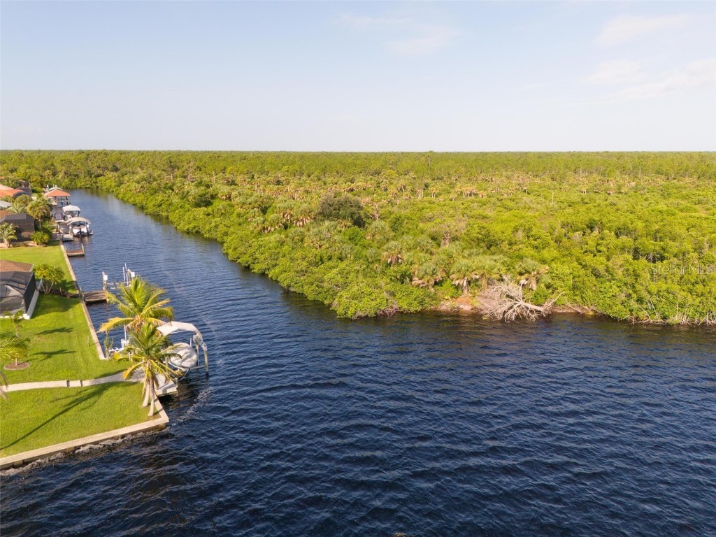 2925 Vance Terrace Port Charlotte FL 33981 - ANDERSON AND MYAKKA RIVER D6137863 image25