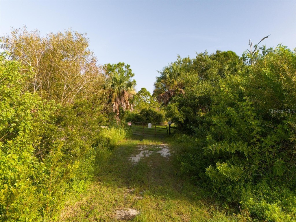 2925 Vance Terrace Port Charlotte FL 33981 - ANDERSON AND MYAKKA RIVER D6137863 image9