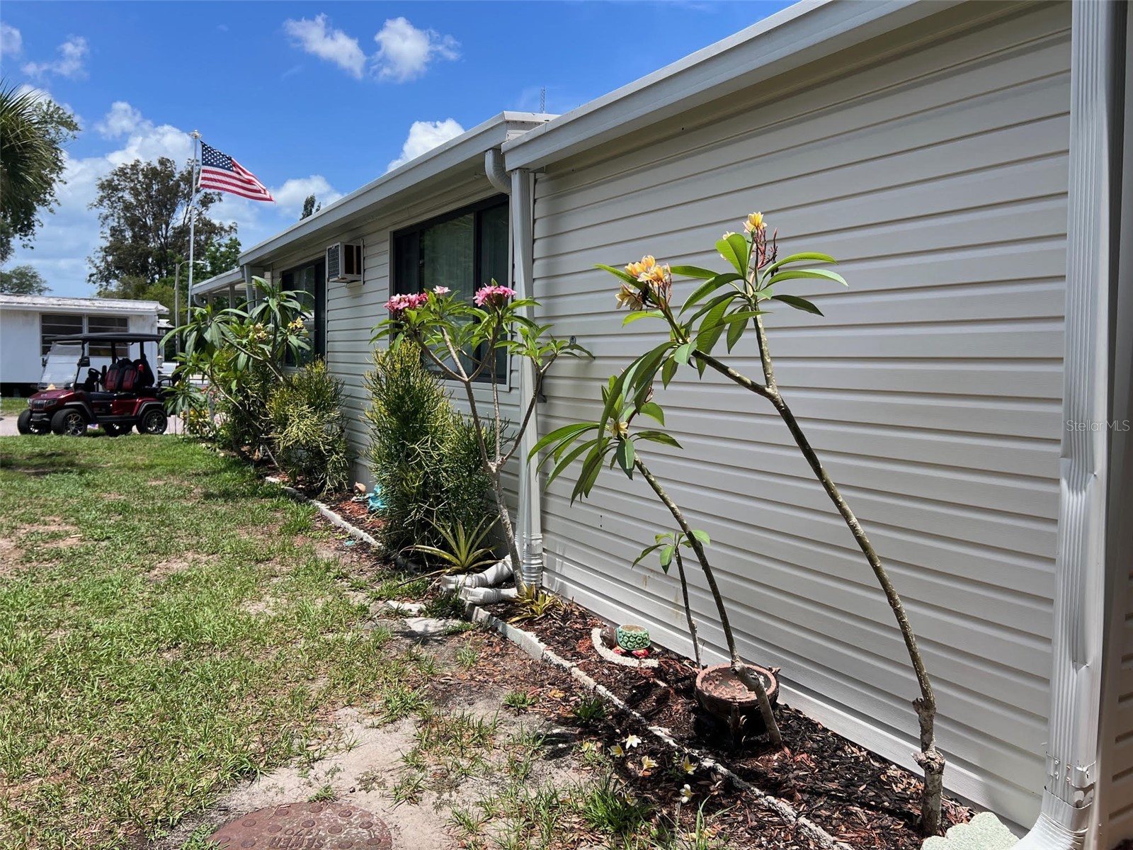 29250 Us Highway 19 N #12 Clearwater FL 33761 TB8512925 image7