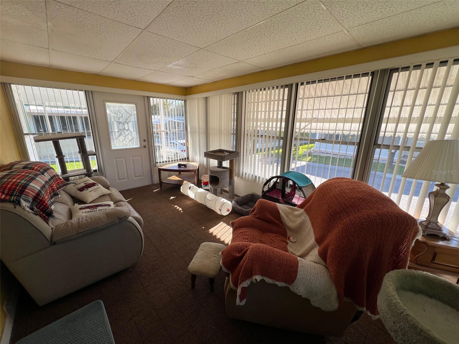 29250 Us Highway 19 N #135 Clearwater FL 33761 TB8488594 image20