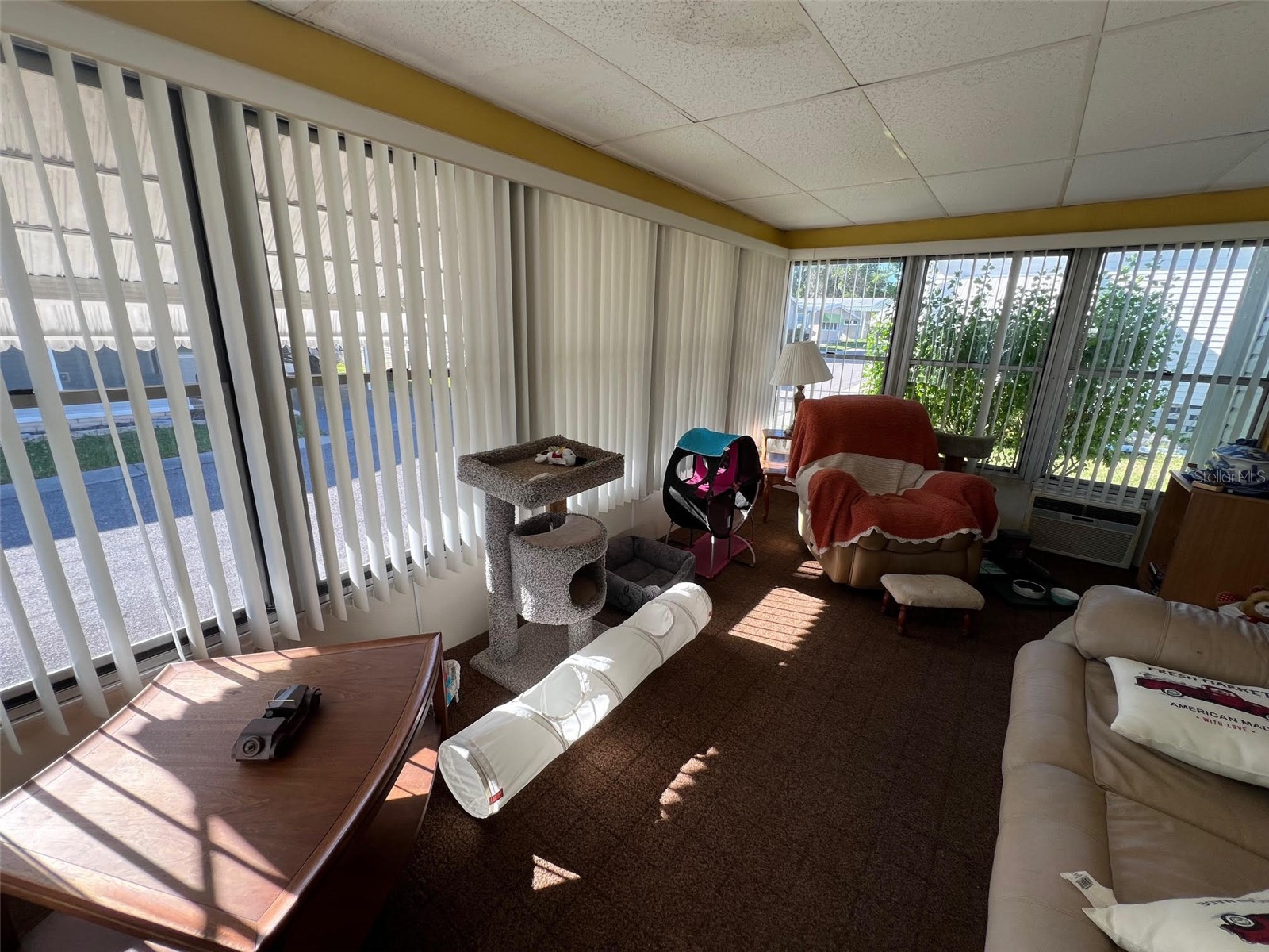 29250 Us Highway 19 N #135 Clearwater FL 33761 TB8488594 image21