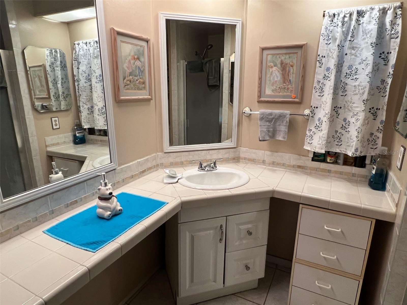 29250 Us Highway 19 N #135 Clearwater FL 33761 TB8488594 image28