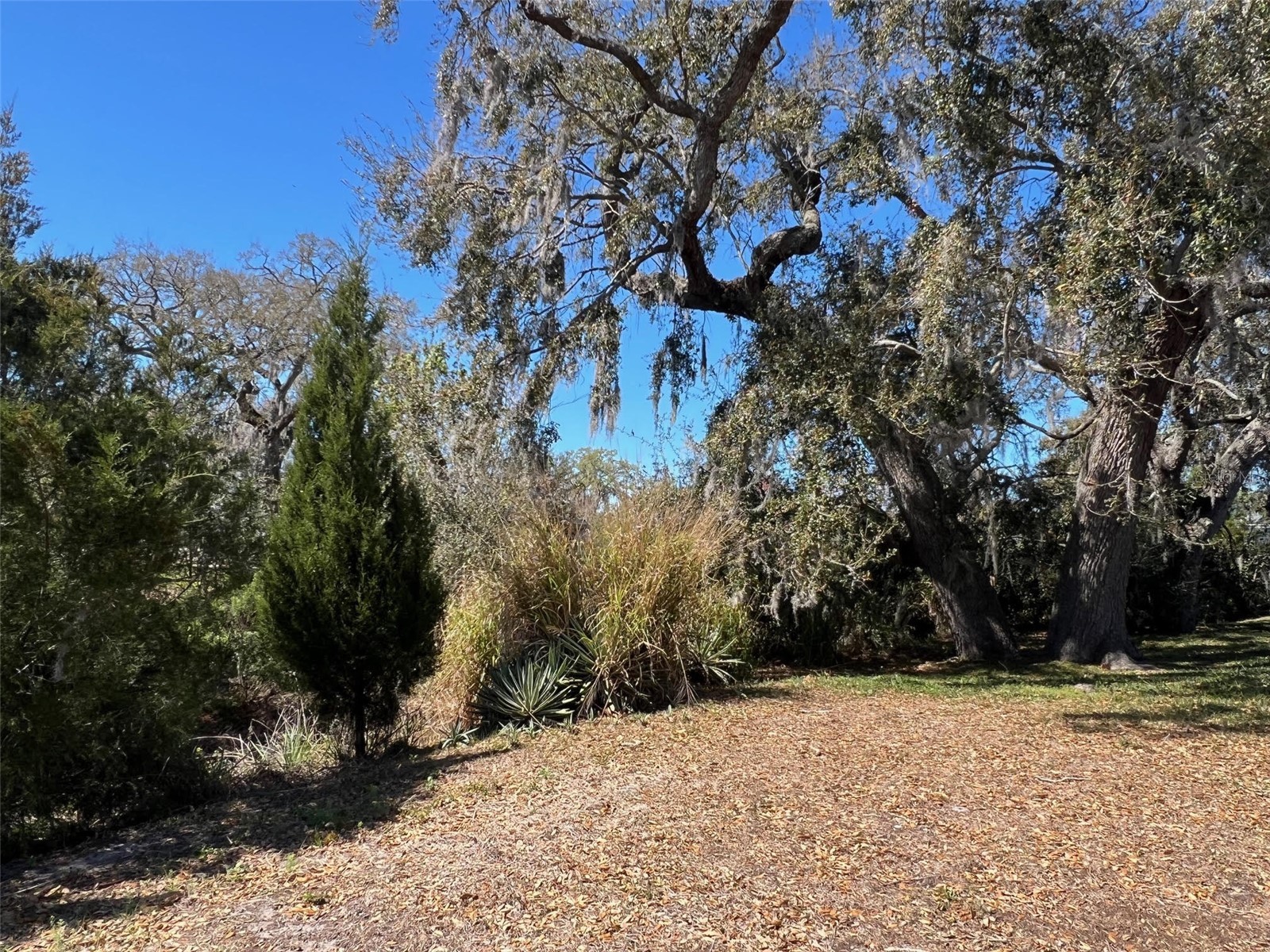 29250 Us Highway 19 N #300 Clearwater FL 33761 TB8481688 image5