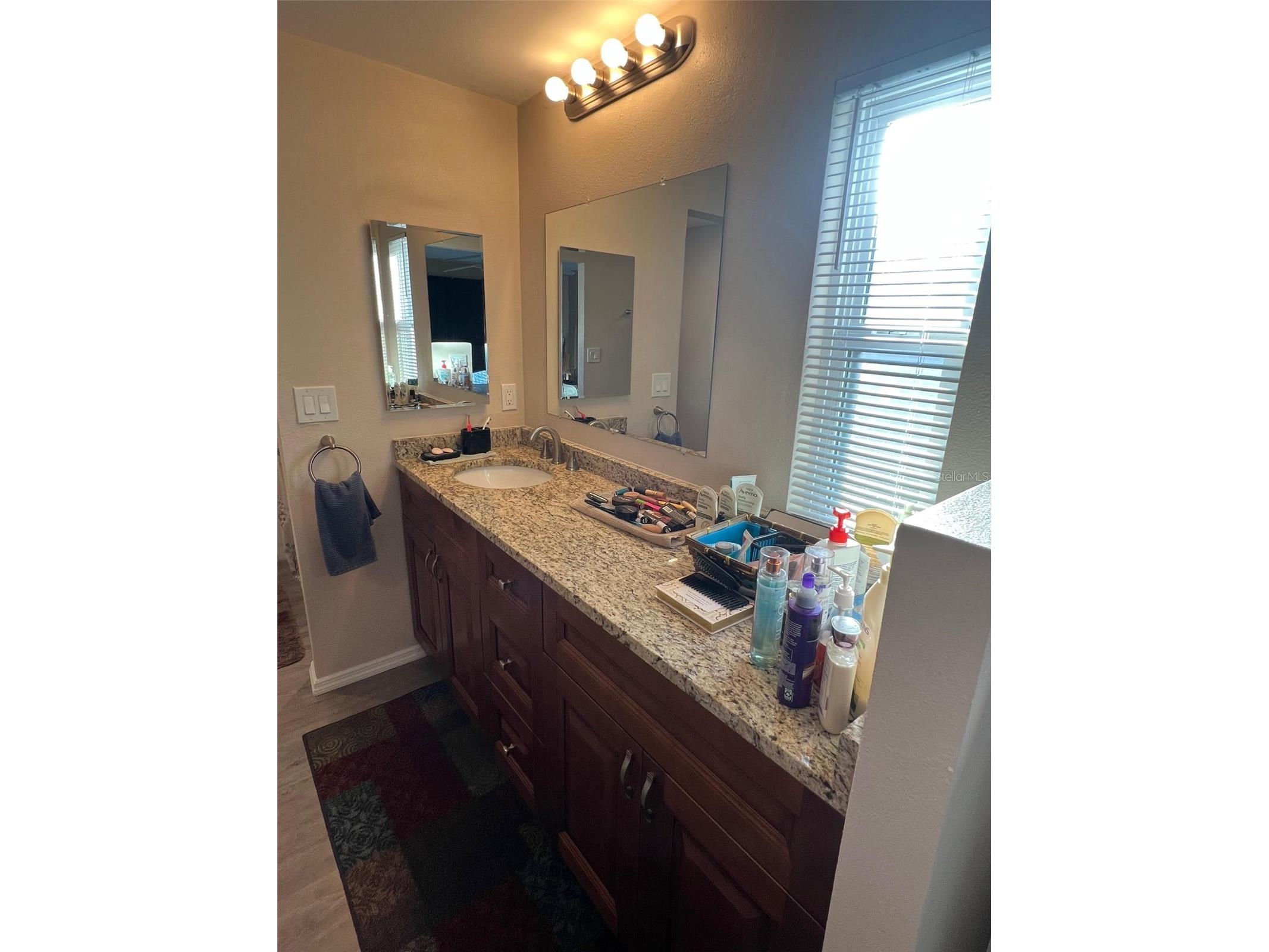 29250 Us Highway 19 N #446 Clearwater FL 33761 TB8468737 image27