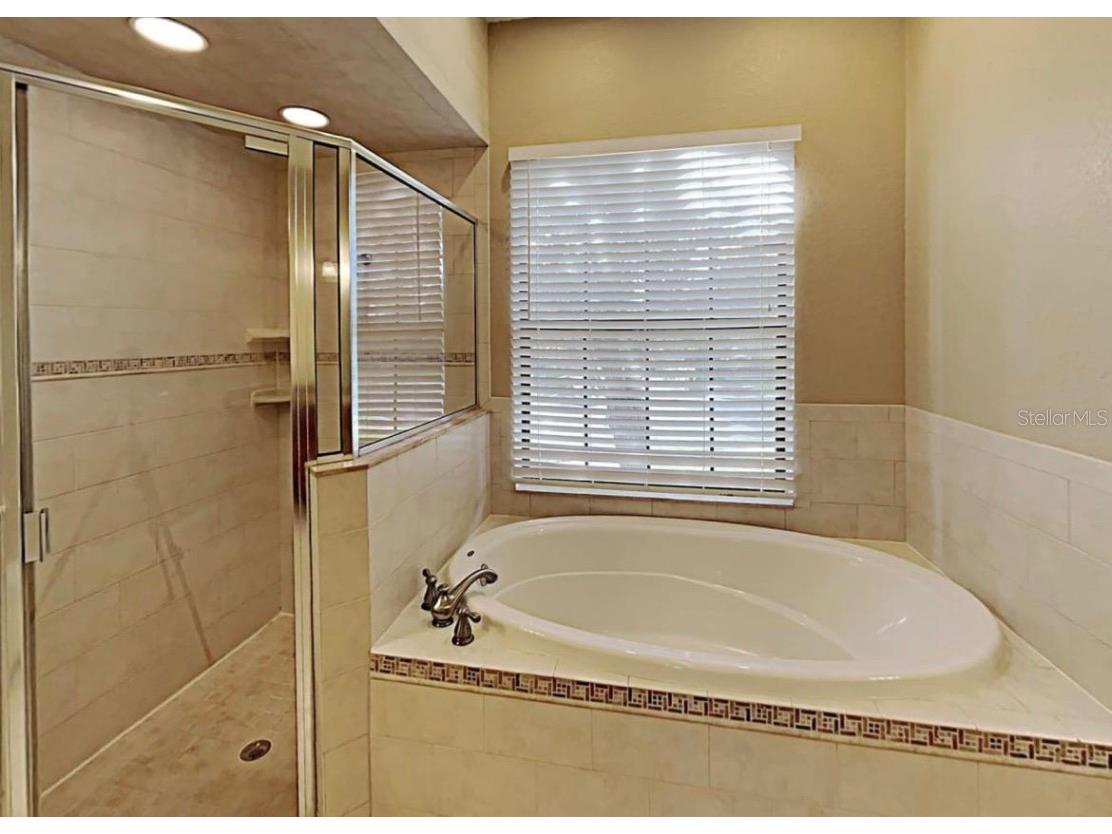 29251 Crossland Drive Wesley Chapel FL 33543 A4700062 image11