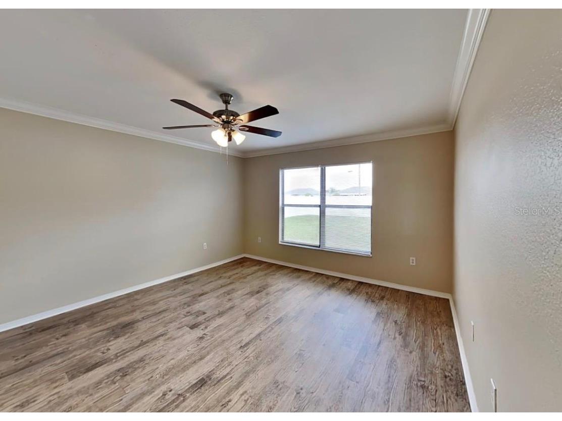 29251 Crossland Drive Wesley Chapel FL 33543 A4700062 image5