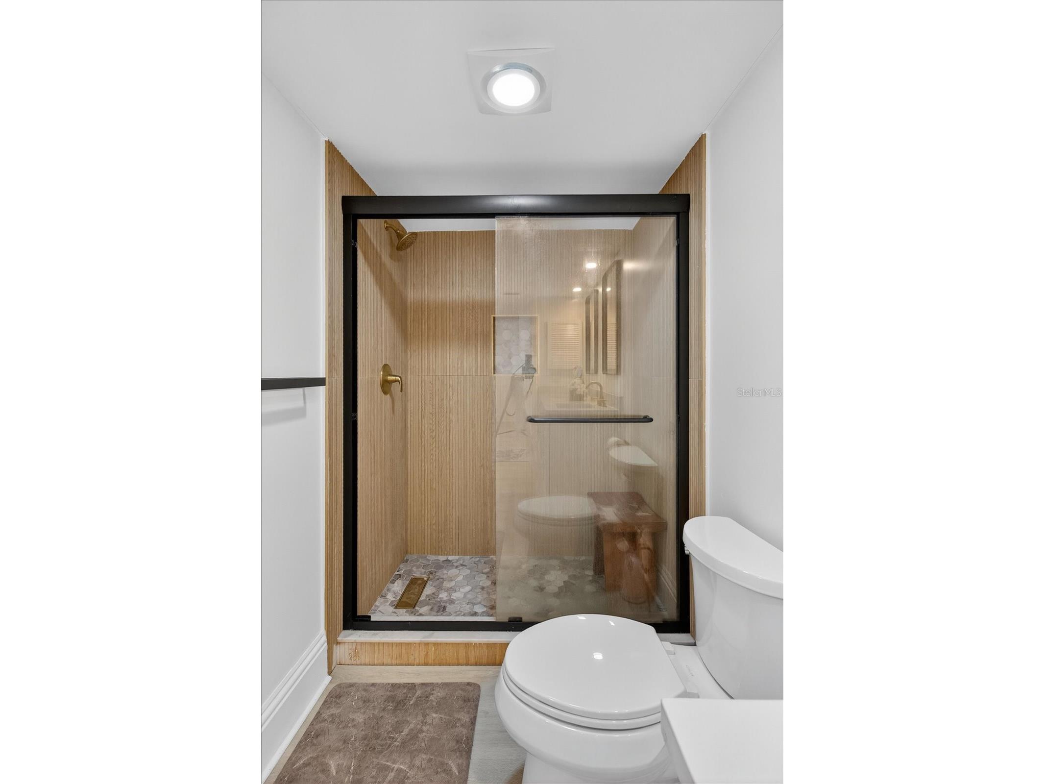 29254 Bay Hollow Drive #3262 Wesley Chapel FL 33543 TB8439925 image19