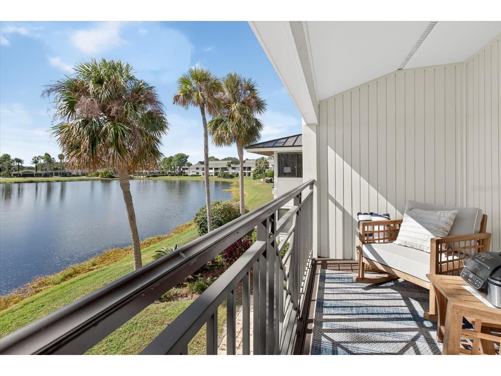 29254 Bay Hollow Drive #3262 Wesley Chapel FL 33543 TB8439925 image23