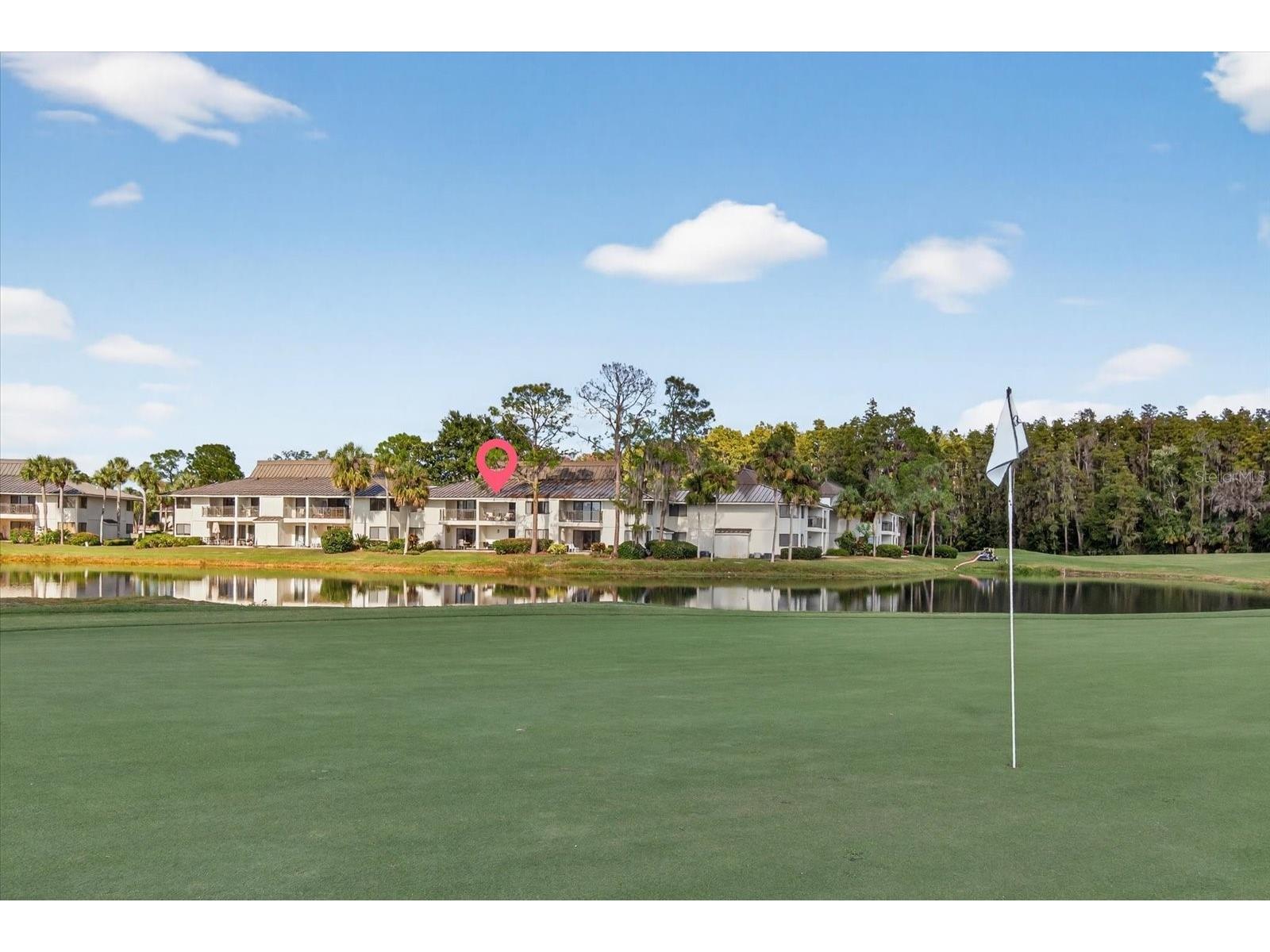 29254 Bay Hollow Drive #3262 Wesley Chapel FL 33543 TB8439925 image25