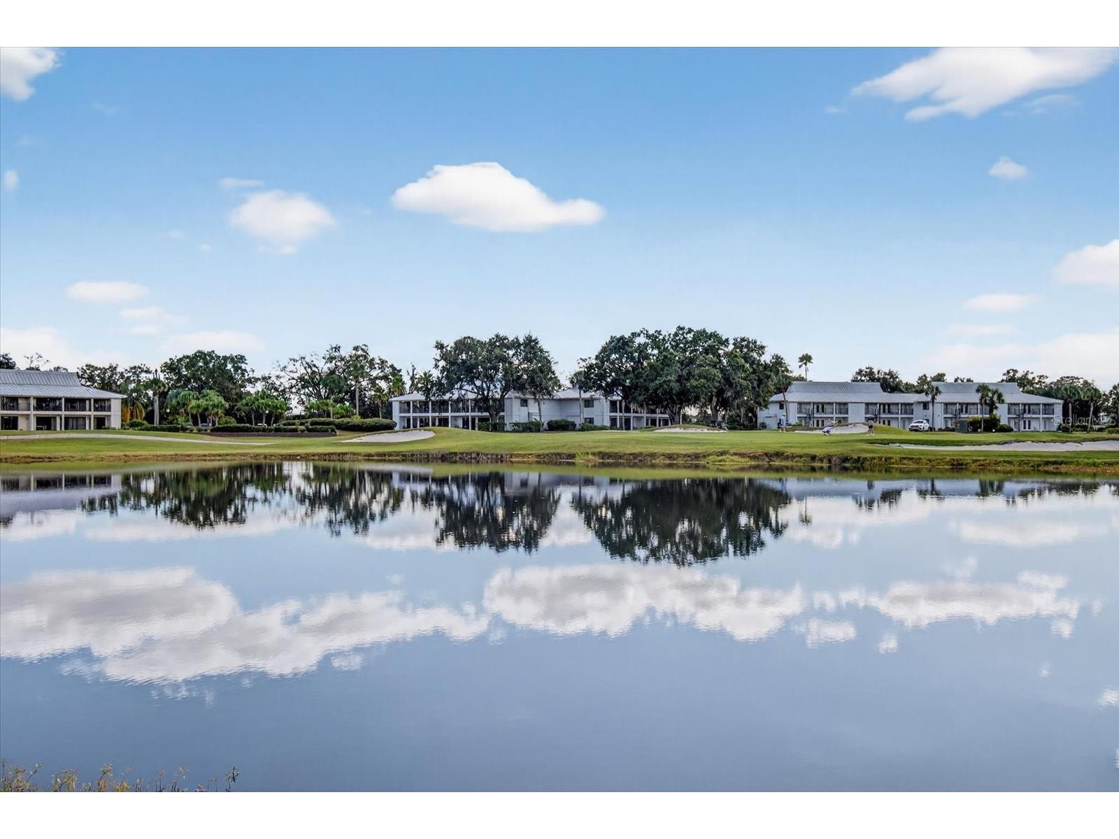 29254 Bay Hollow Drive #3262 Wesley Chapel FL 33543 TB8439925 image26