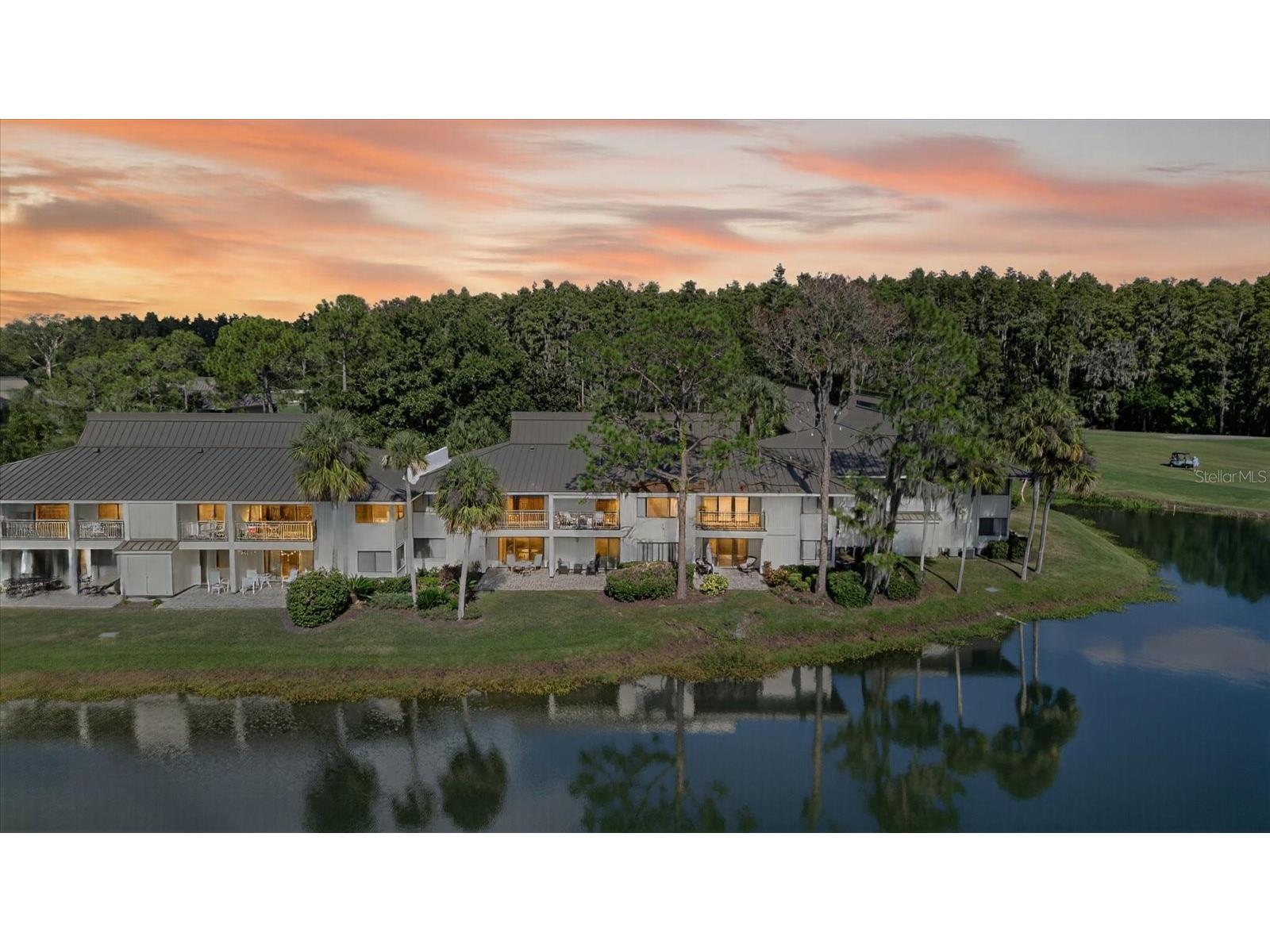 29254 Bay Hollow Drive #3262 Wesley Chapel FL 33543 TB8439925 image36