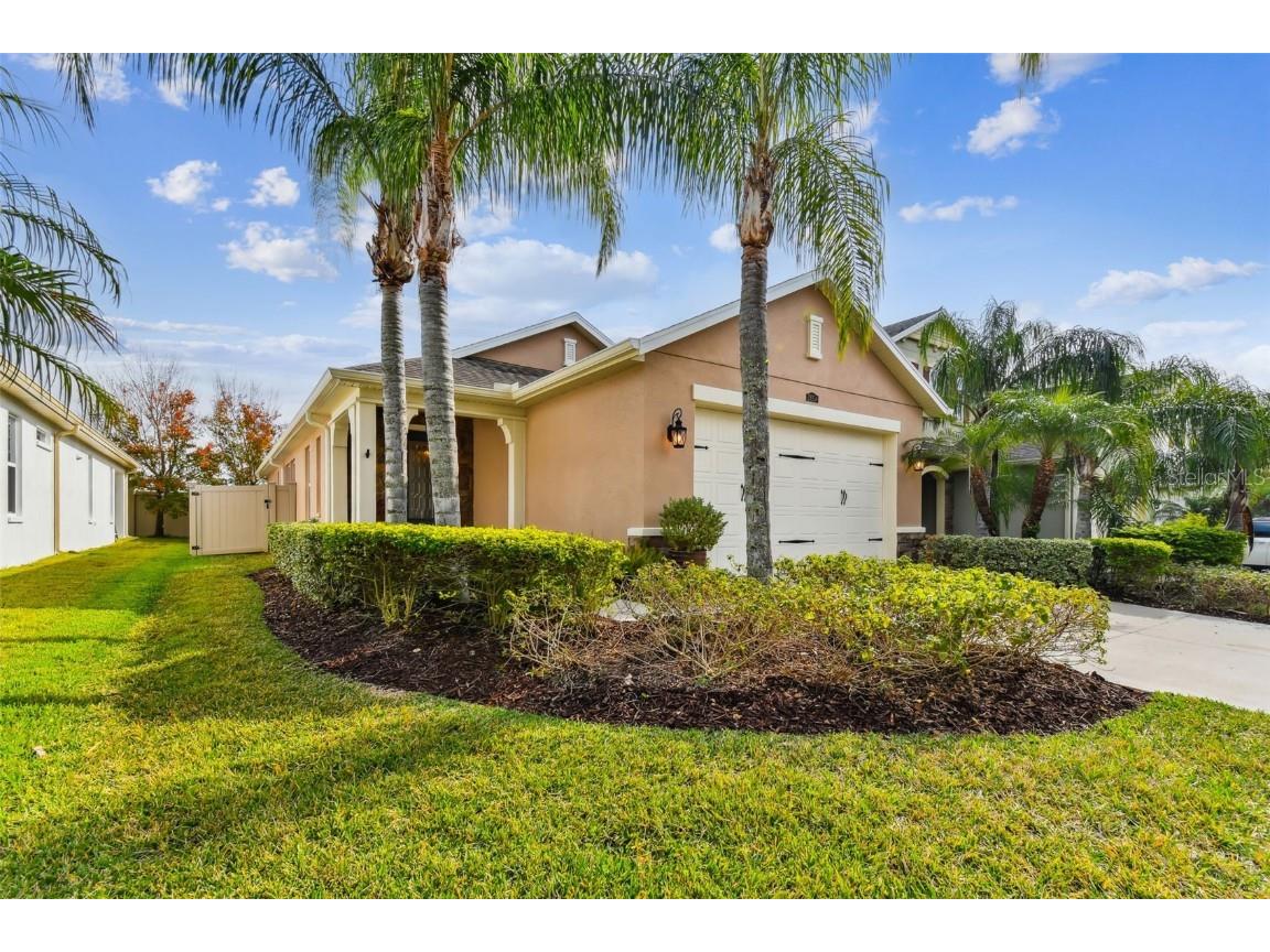 29254 Perilli Place Wesley Chapel FL 33543 TB8333718 image1