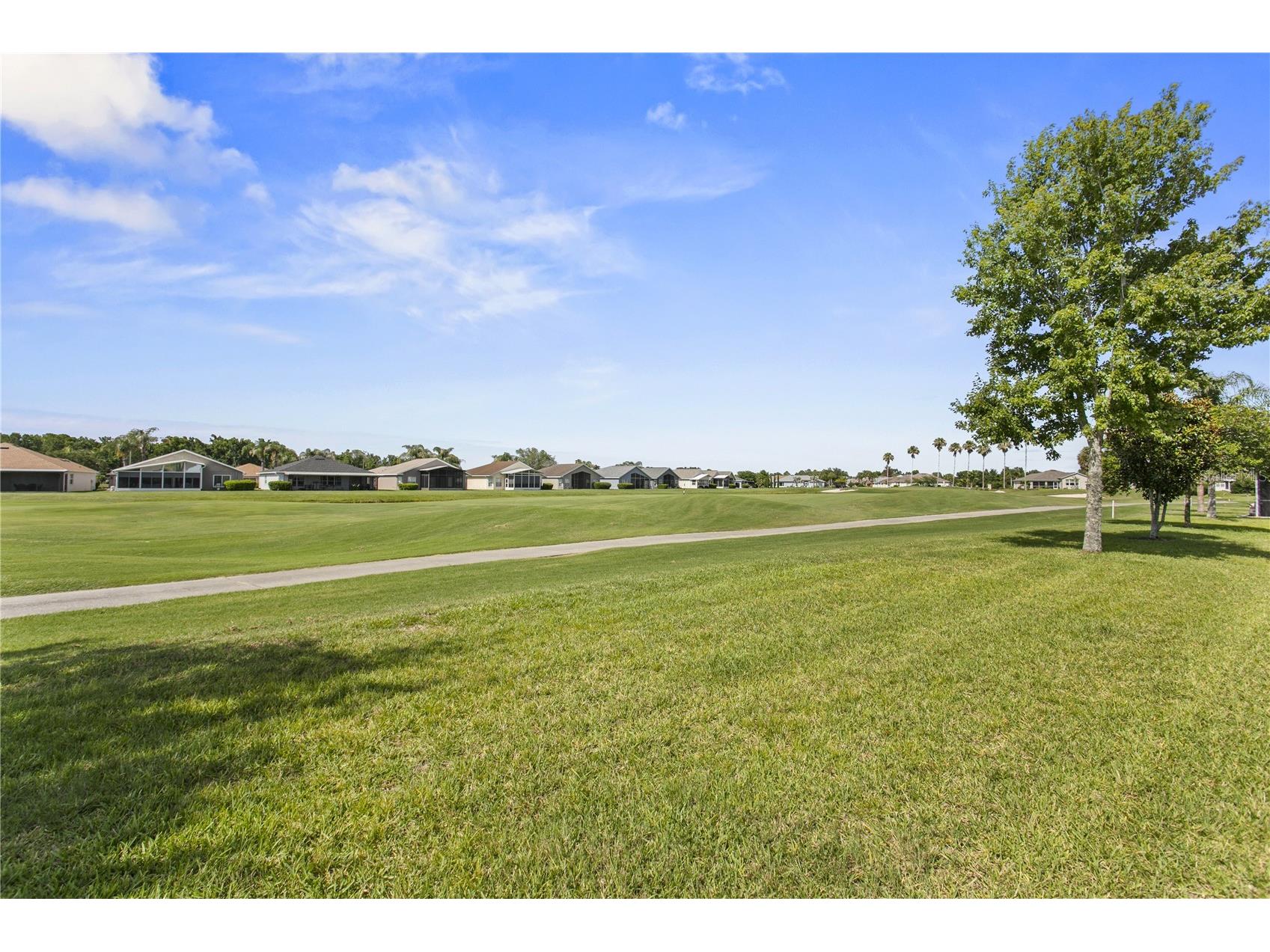 29255 Grass Bunker Drive San Antonio FL 33576 TB8516621 image10