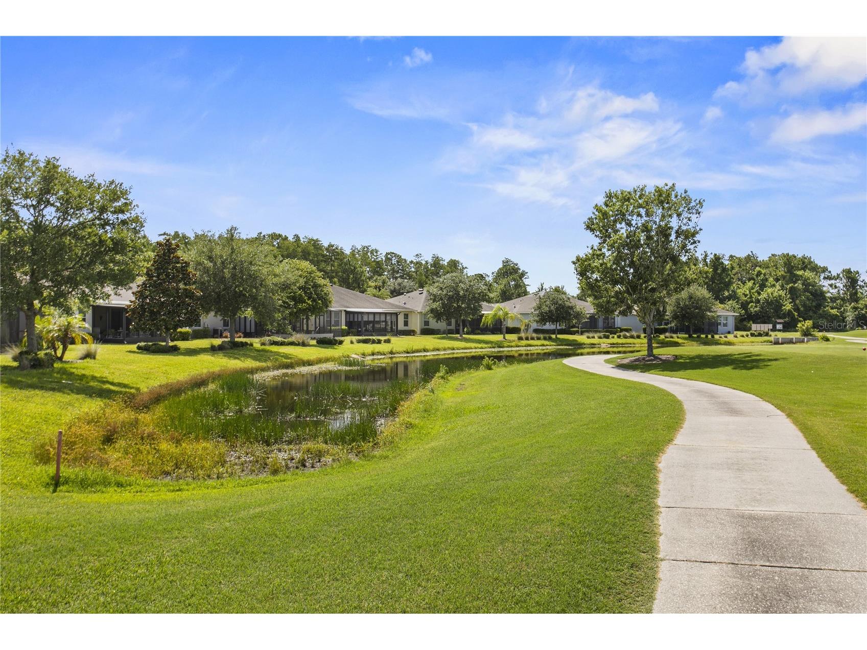 29255 Grass Bunker Drive San Antonio FL 33576 TB8516621 image20