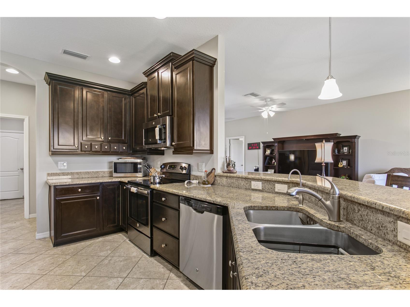 29255 Grass Bunker Drive San Antonio FL 33576 TB8516621 image28