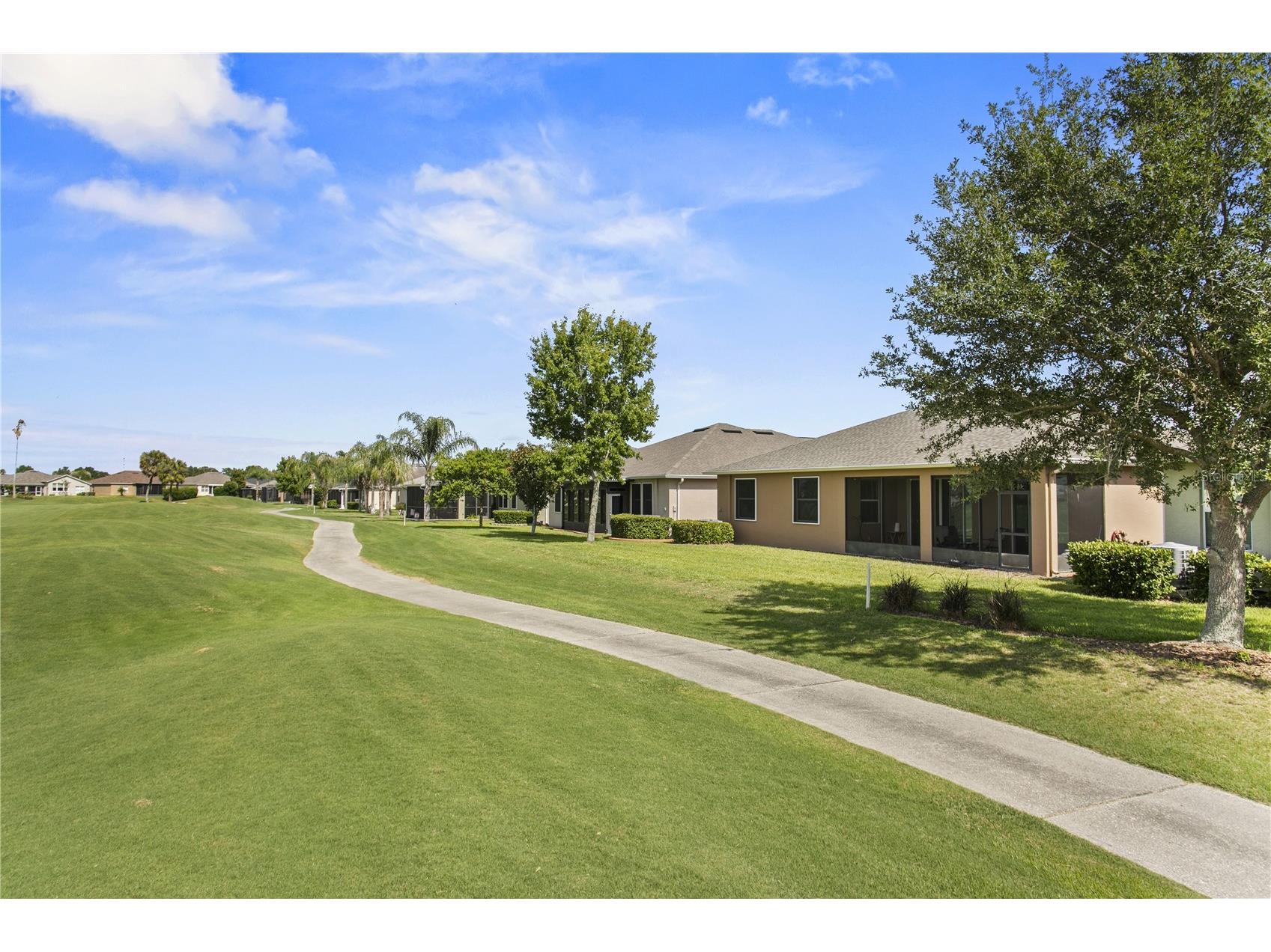 29255 Grass Bunker Drive San Antonio FL 33576 TB8516621 image30