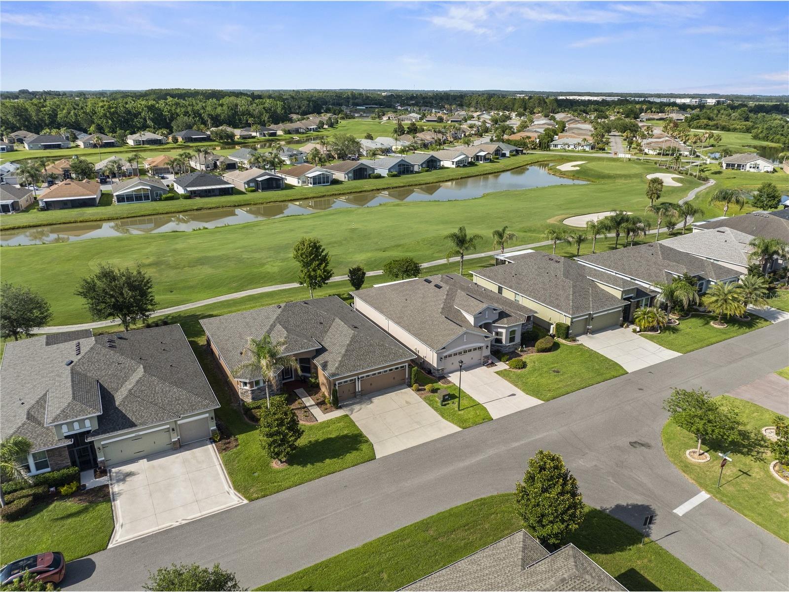 29255 Grass Bunker Drive San Antonio FL 33576 TB8516621 image31