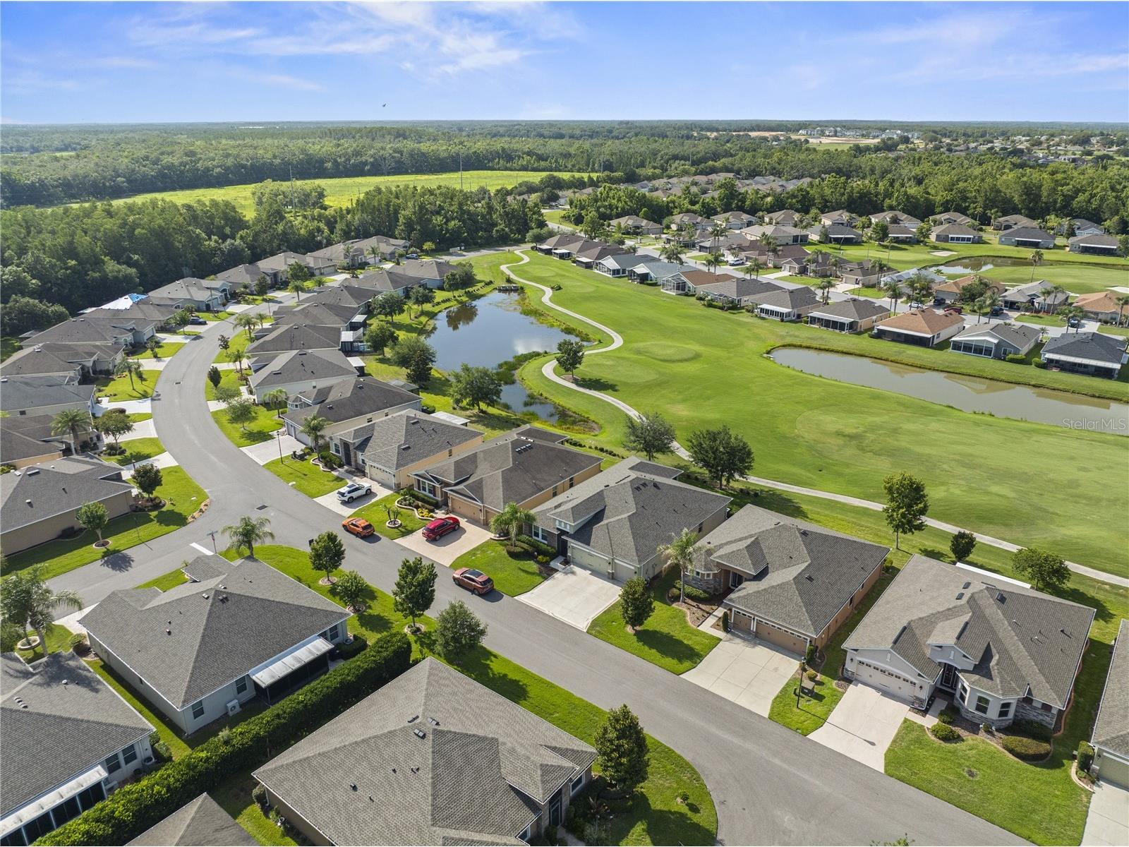 29255 Grass Bunker Drive San Antonio FL 33576 TB8516621 image36