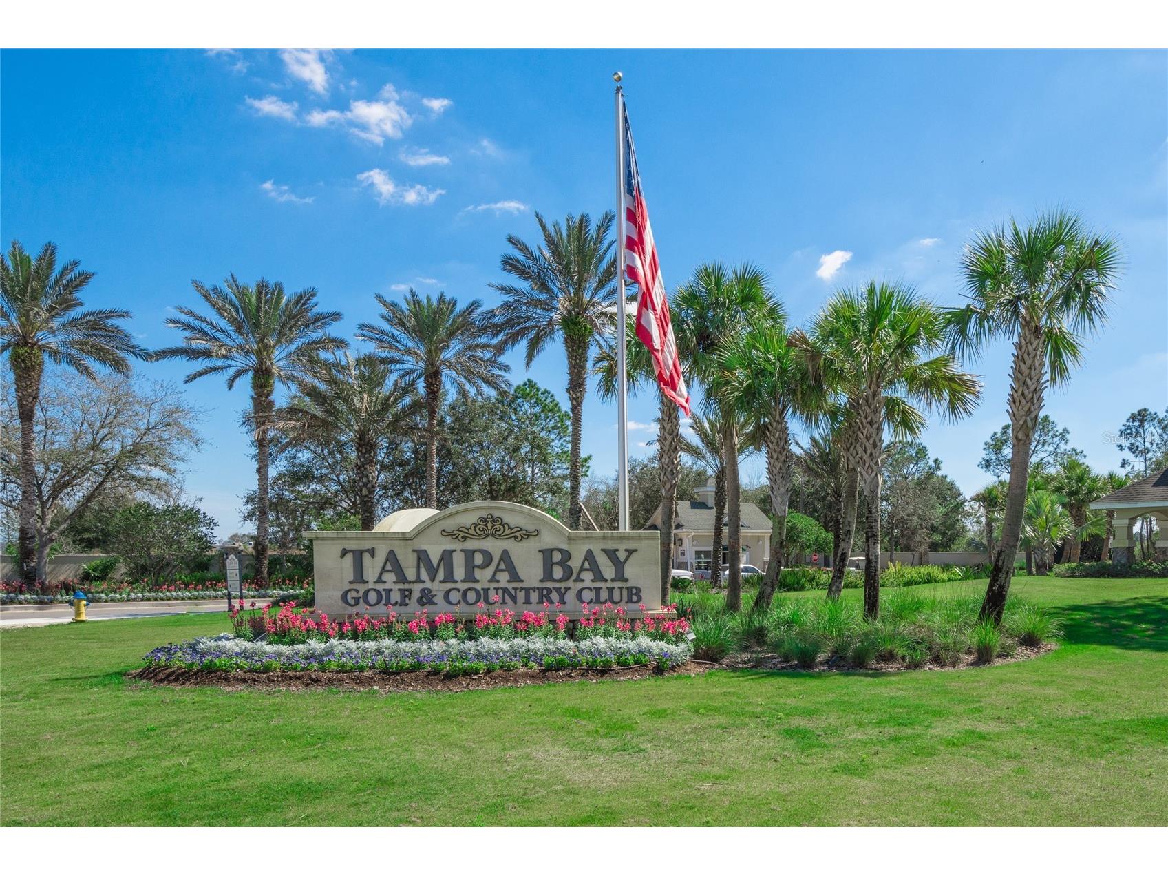 29255 Grass Bunker Drive San Antonio FL 33576 TB8516621 image49