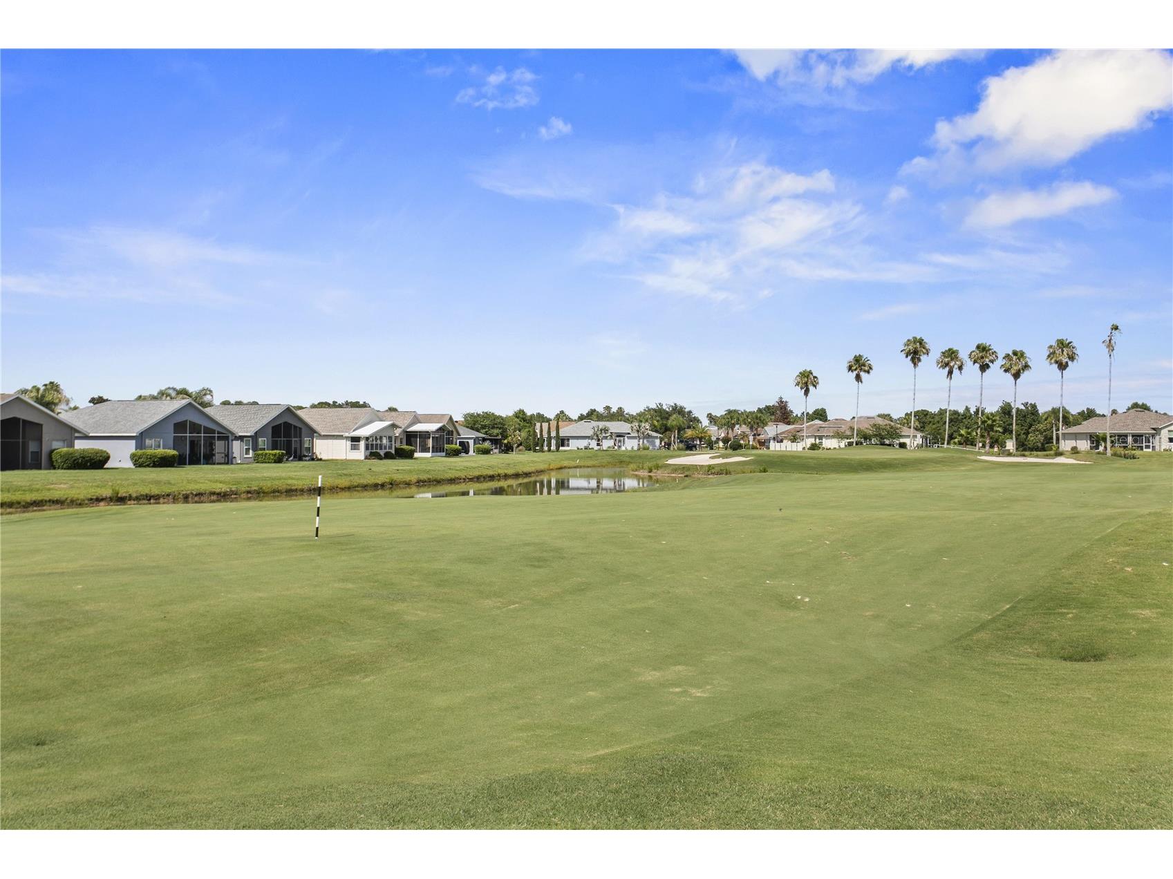 29255 Grass Bunker Drive San Antonio FL 33576 TB8516621 image5