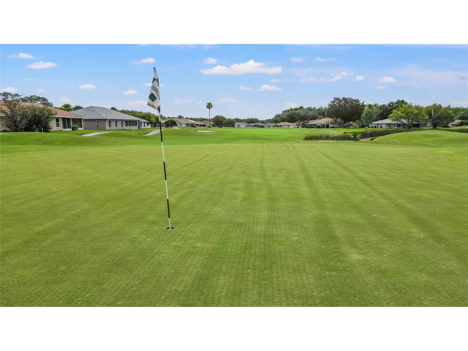 29255 Grass Bunker Drive San Antonio FL 33576 TB8516621 image52