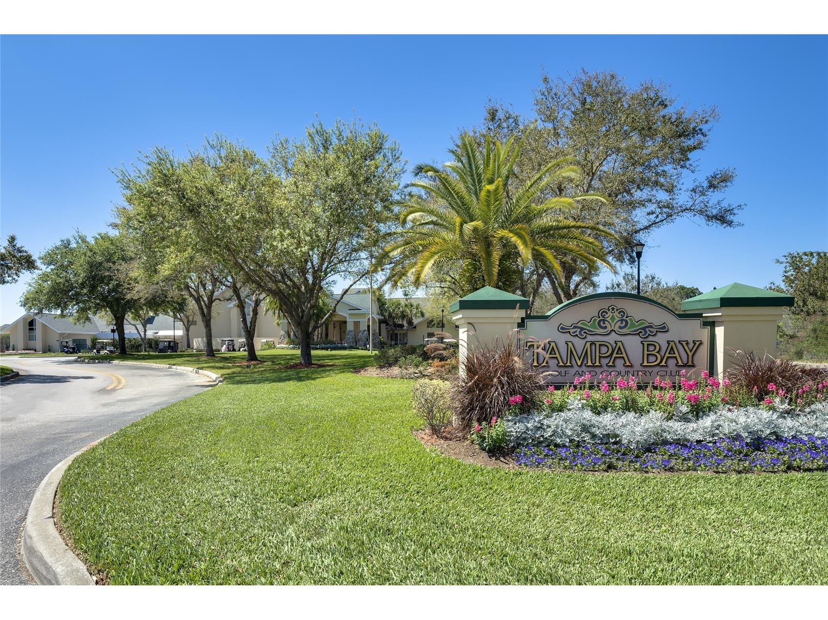29255 Grass Bunker Drive San Antonio FL 33576 TB8516621 image60