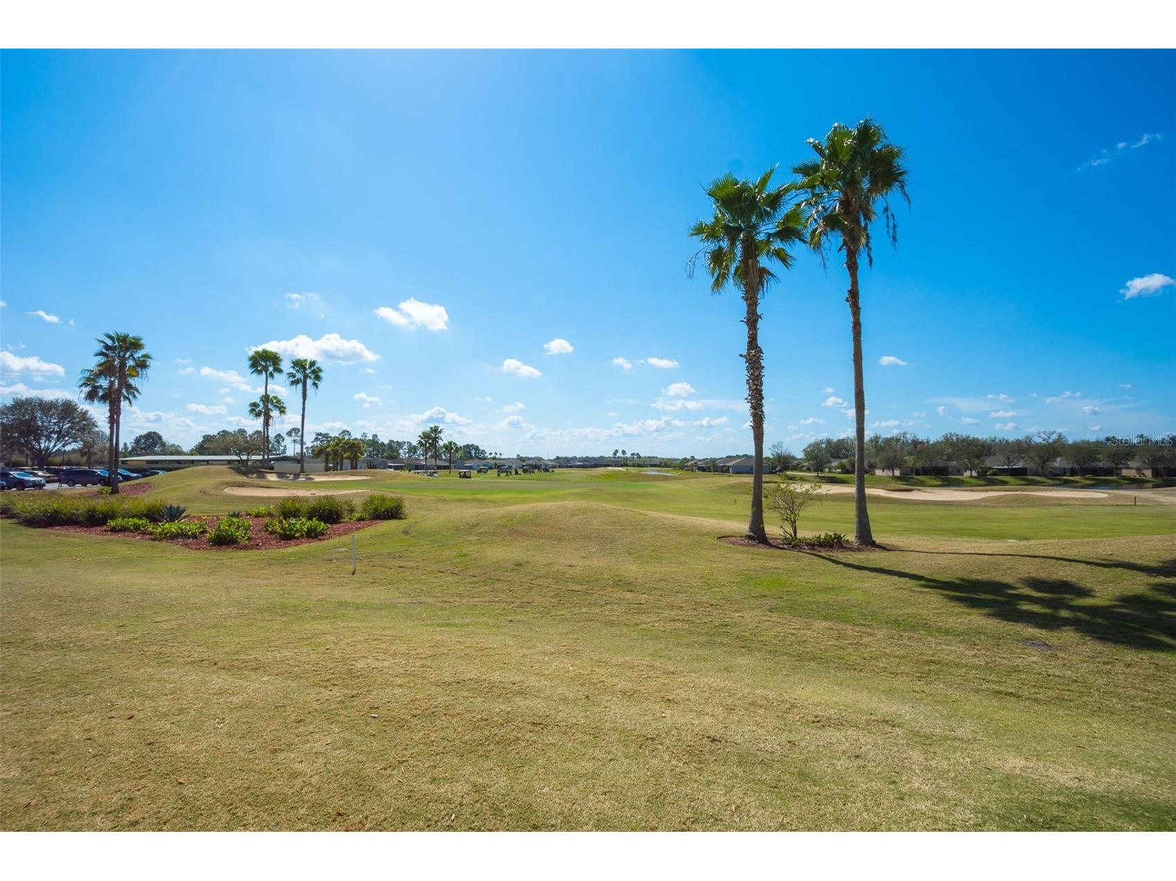 29255 Grass Bunker Drive San Antonio FL 33576 TB8516621 image62