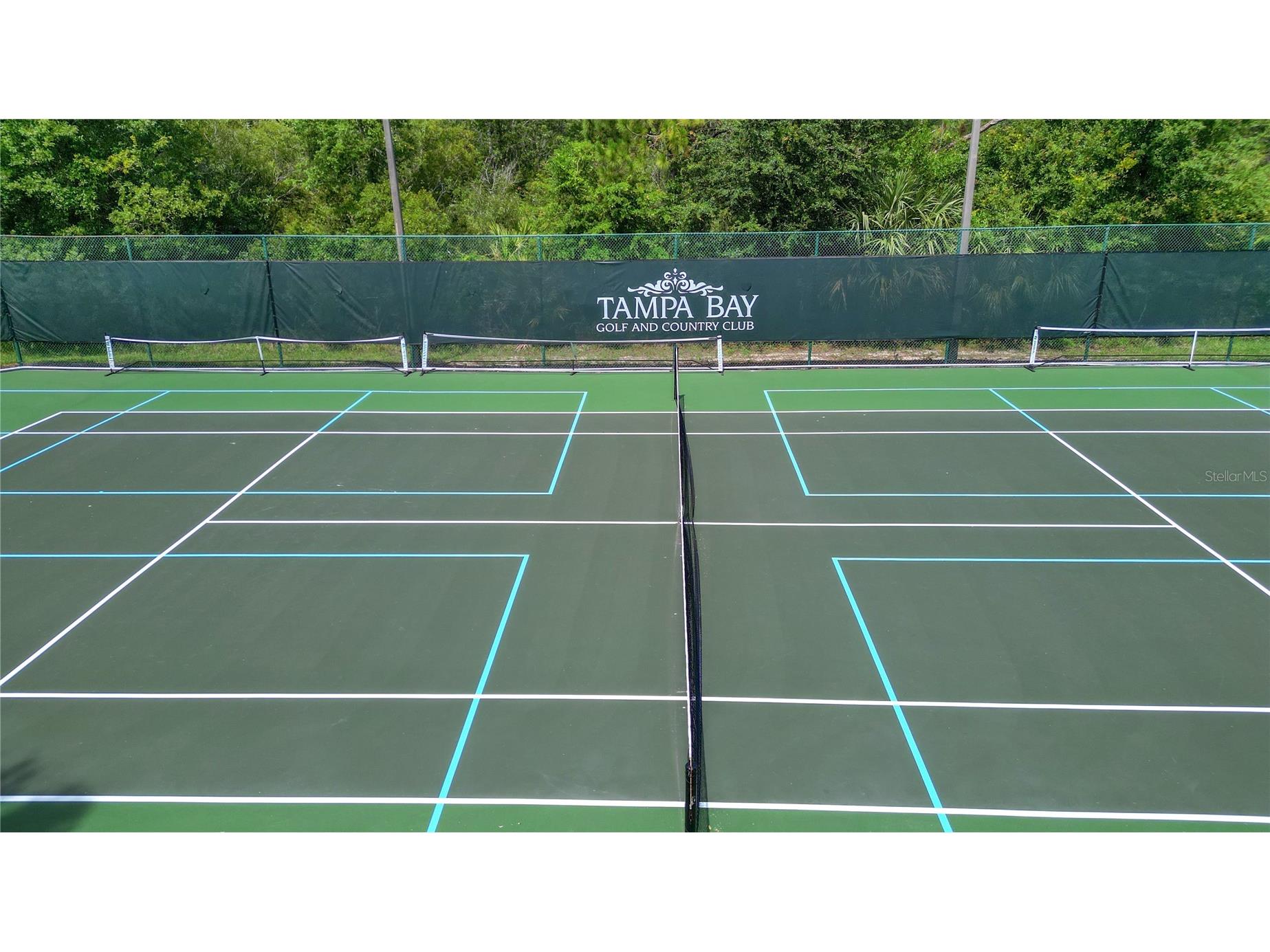 29255 Grass Bunker Drive San Antonio FL 33576 TB8516621 image78