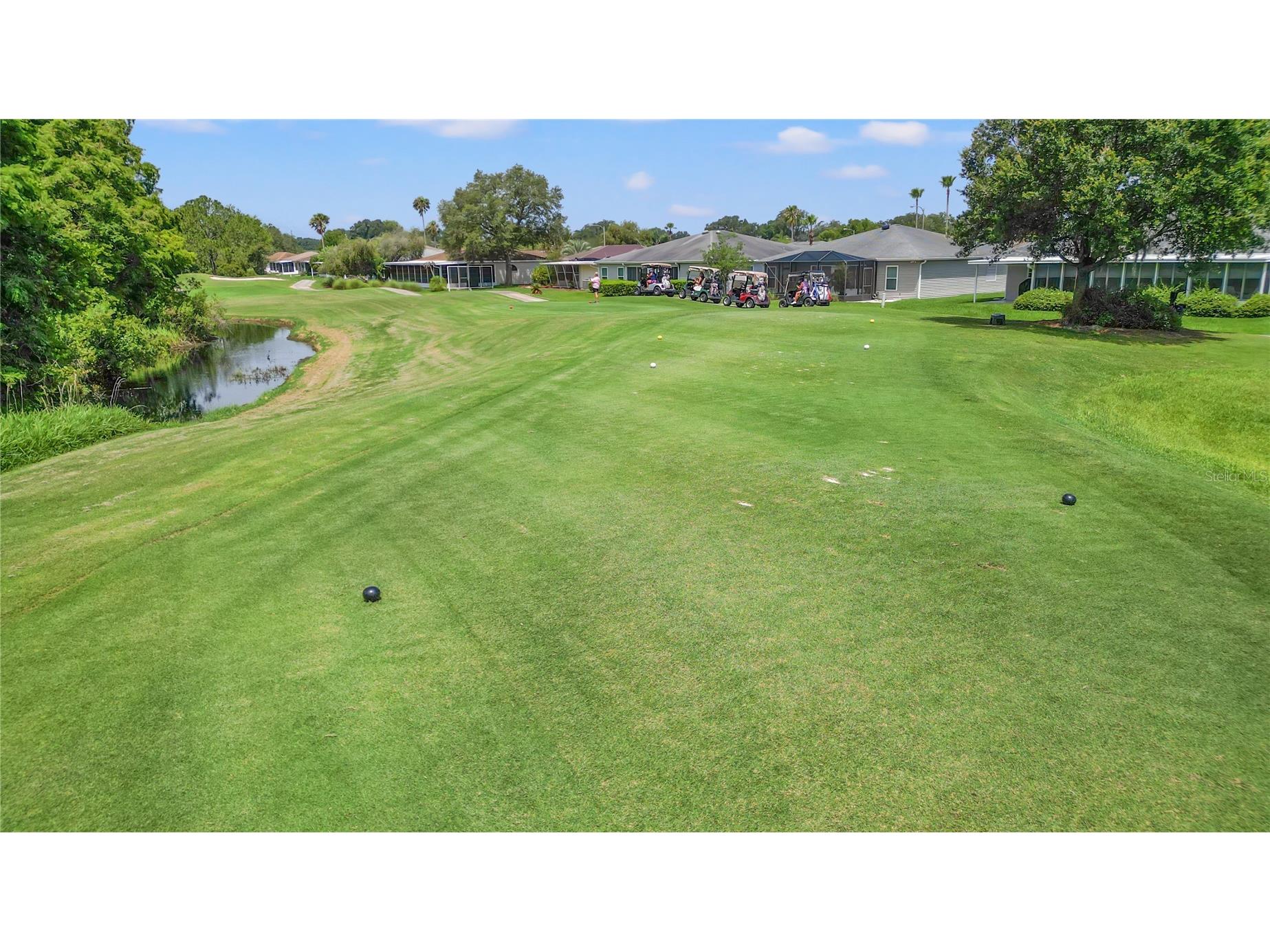29255 Grass Bunker Drive San Antonio FL 33576 TB8516621 image80