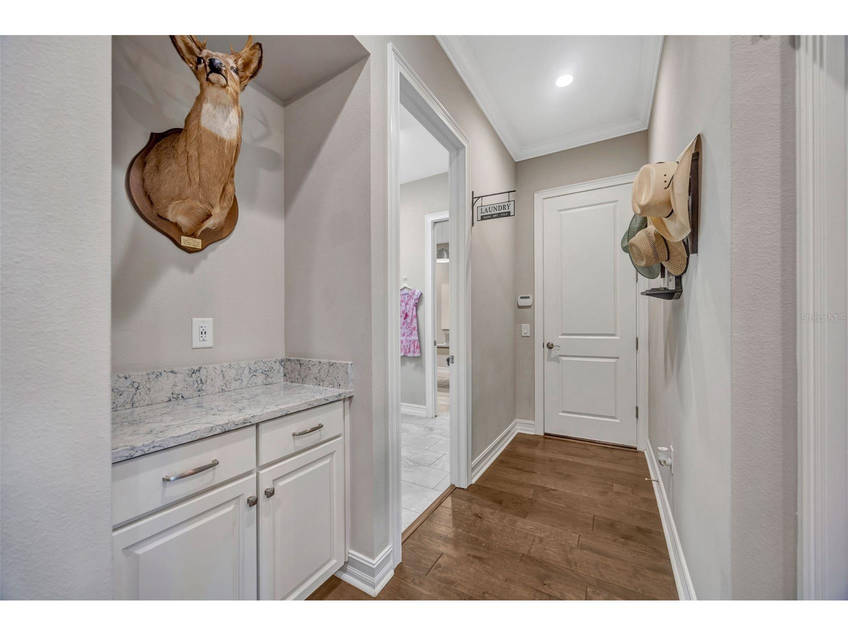 29256 Picana Lane Wesley Chapel FL 33543 TB8485082 image52