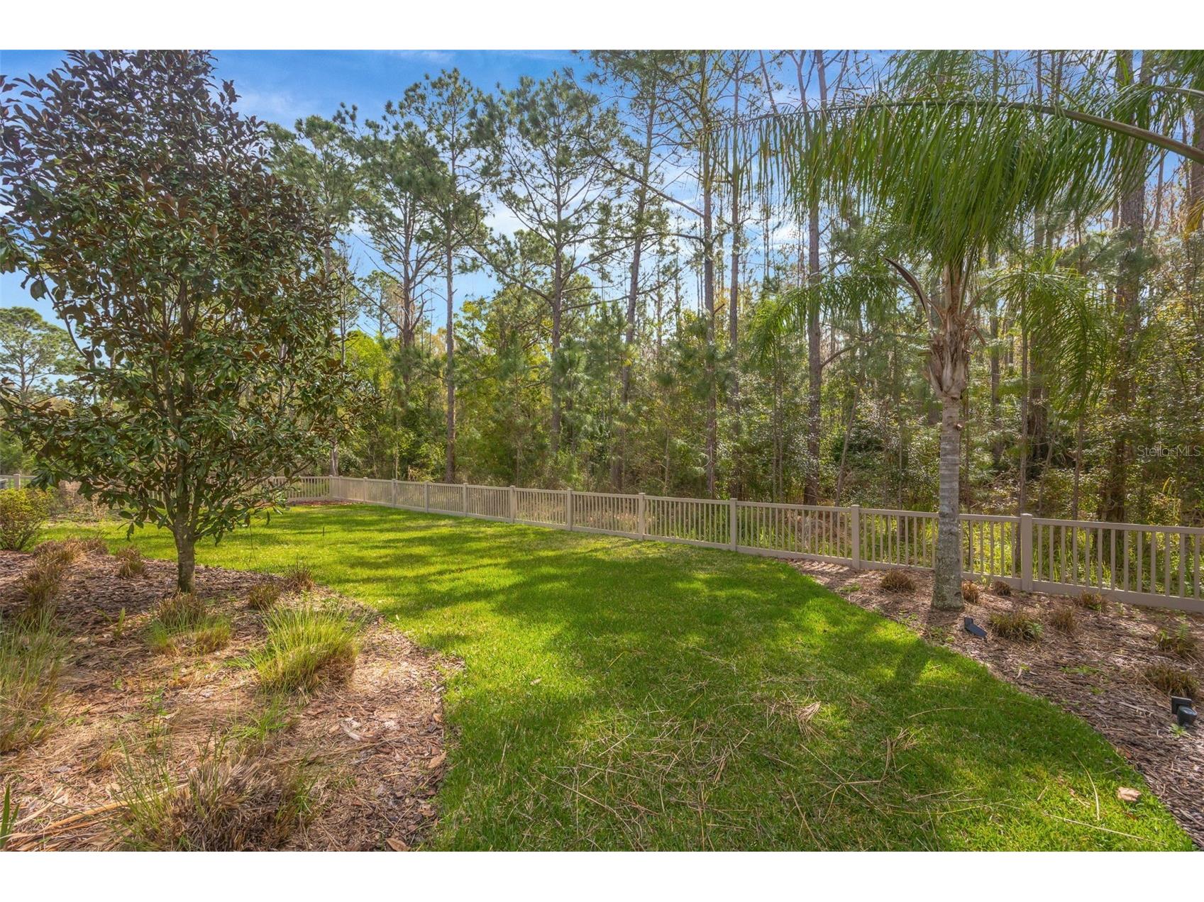 29256 Picana Lane Wesley Chapel FL 33543 TB8485082 image71
