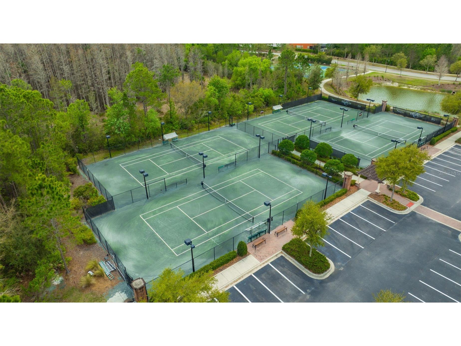 29256 Picana Lane Wesley Chapel FL 33543 TB8485082 image77
