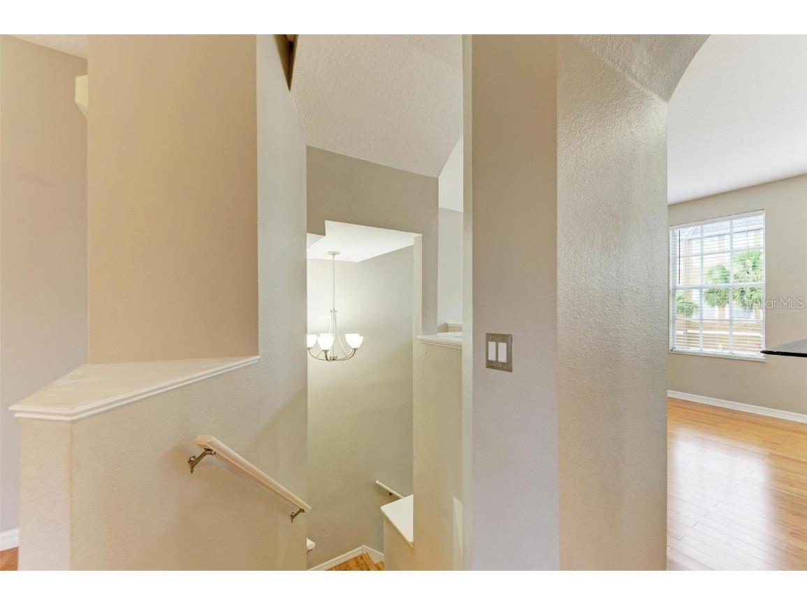 2926 Bayshore Pointe Drive Tampa FL 33611 - HILLSBOROUGH BAY TB8417486 image19