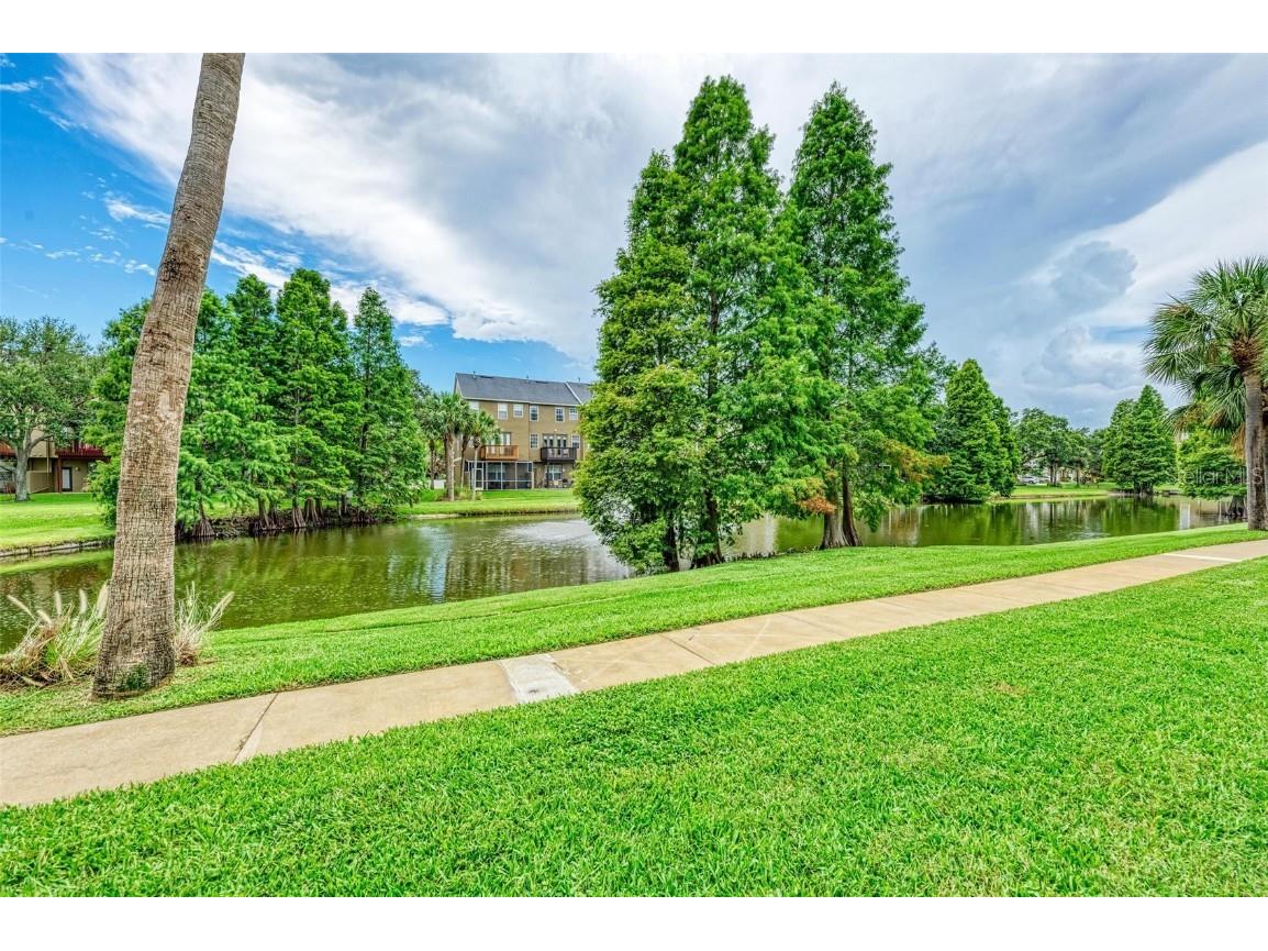 2926 Bayshore Pointe Drive Tampa FL 33611 - HILLSBOROUGH BAY TB8417486 image49