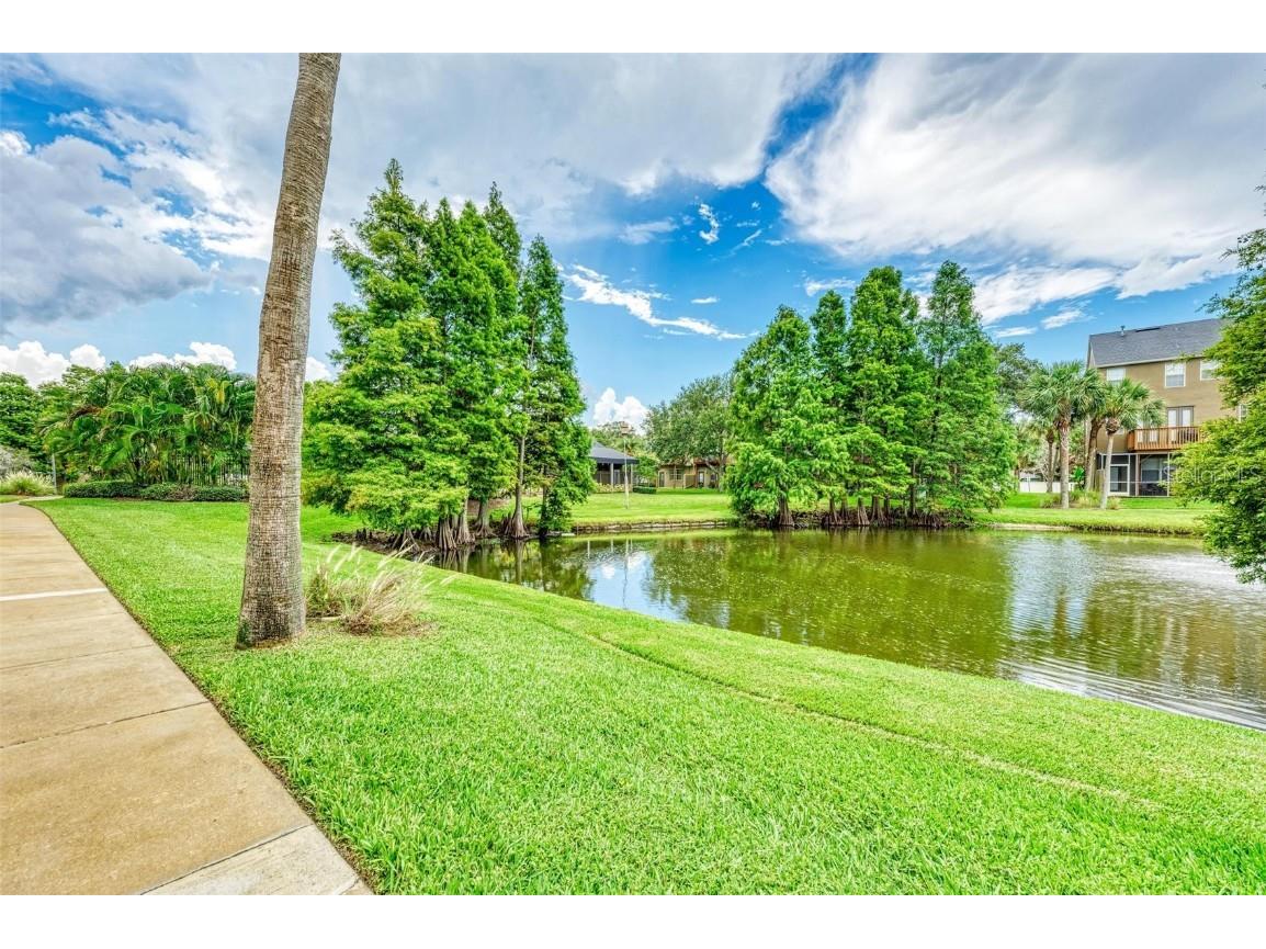2926 Bayshore Pointe Drive Tampa FL 33611 - HILLSBOROUGH BAY TB8417486 image51