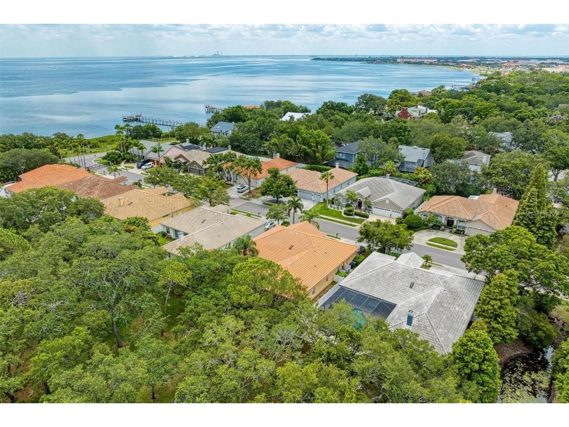 2926 Bayshore Pointe Drive Tampa FL 33611 - HILLSBOROUGH BAY TB8417486 image56