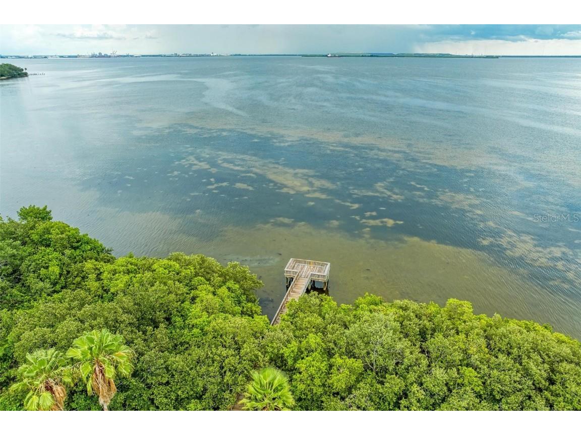 2926 Bayshore Pointe Drive Tampa FL 33611 - HILLSBOROUGH BAY TB8417486 image62