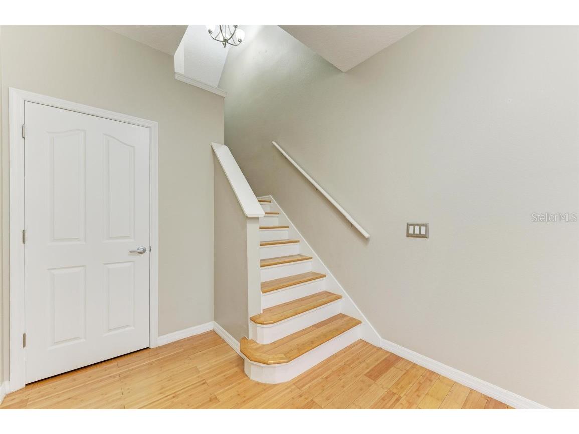 2926 Bayshore Pointe Drive Tampa FL 33611 - HILLSBOROUGH BAY TB8417486 image7