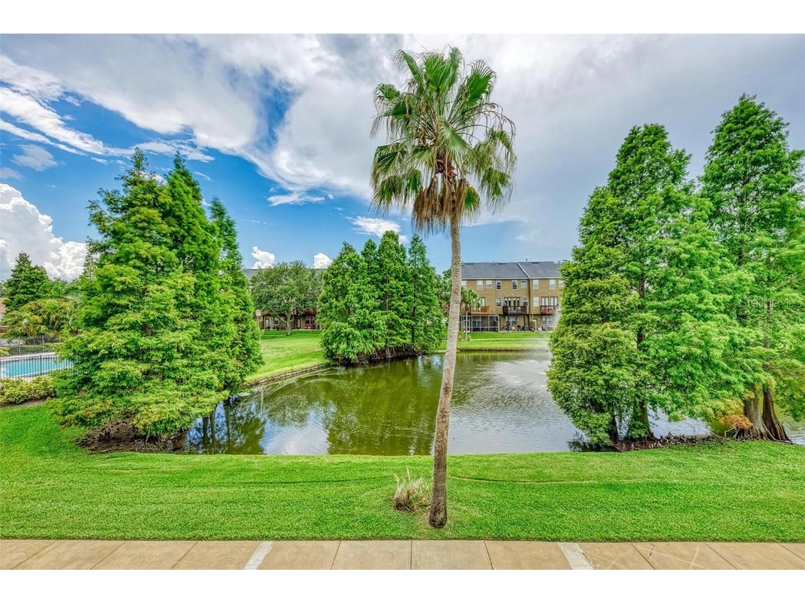 2926 Bayshore Pointe Drive Tampa FL 33611 TB8440752 image14