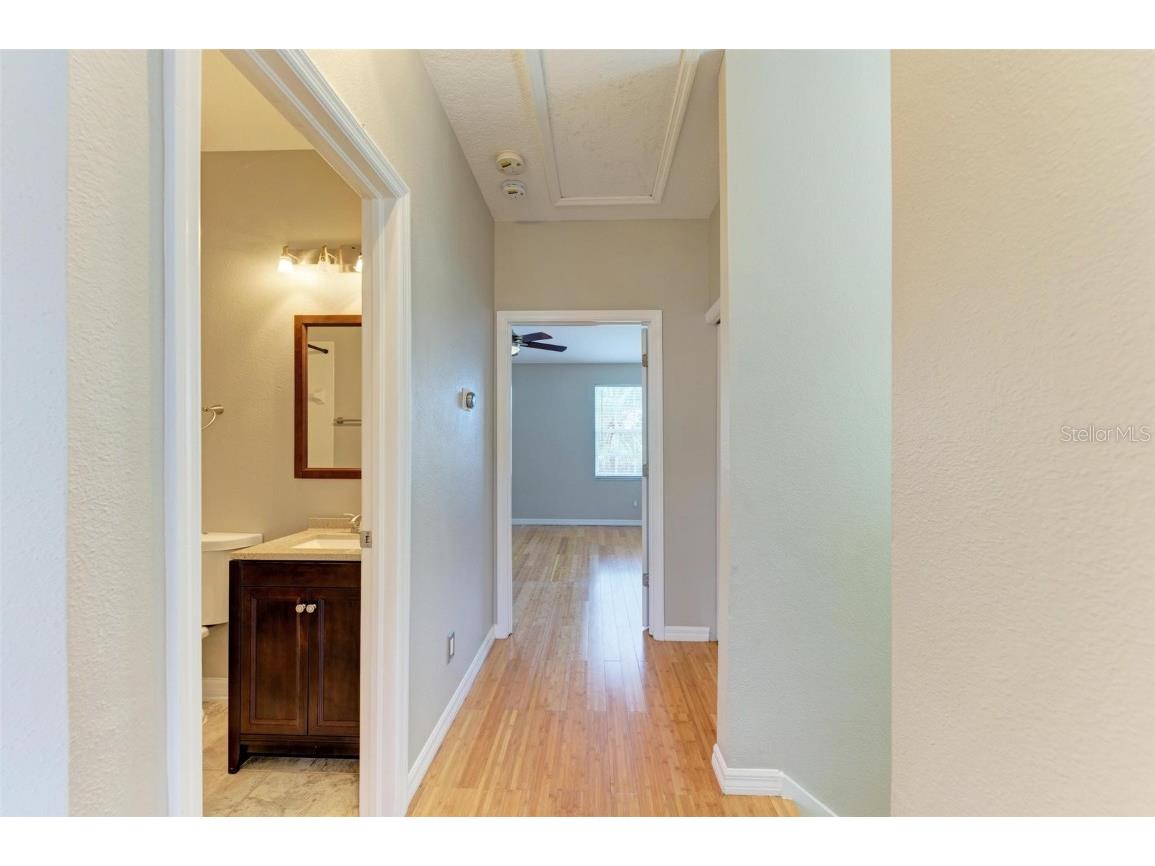 2926 Bayshore Pointe Drive Tampa FL 33611 TB8440752 image24