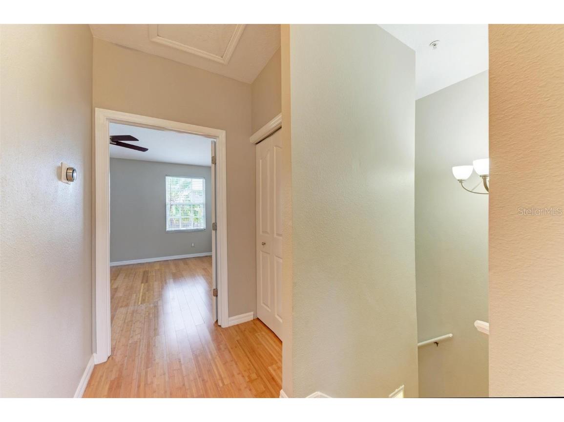 2926 Bayshore Pointe Drive Tampa FL 33611 TB8440752 image36