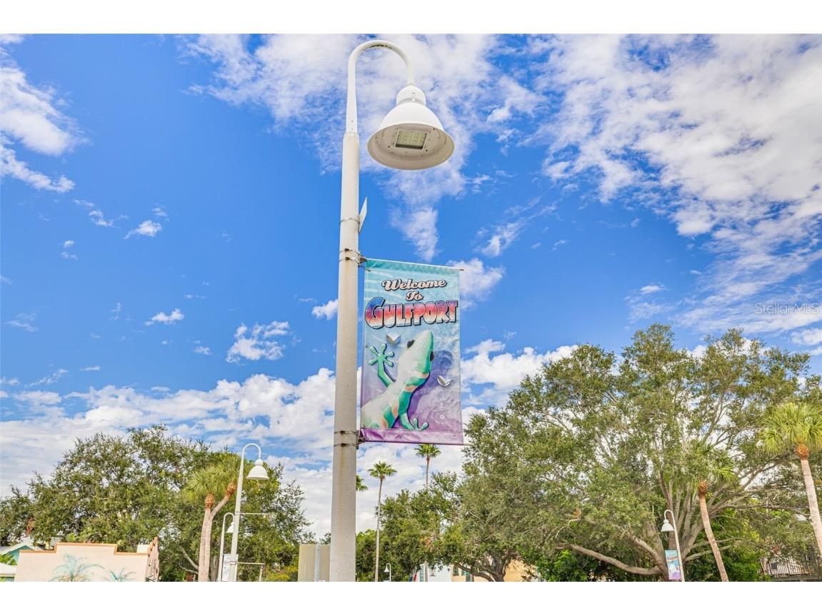2926 Dupont Street S Gulfport FL 33707 TB8442528 image38