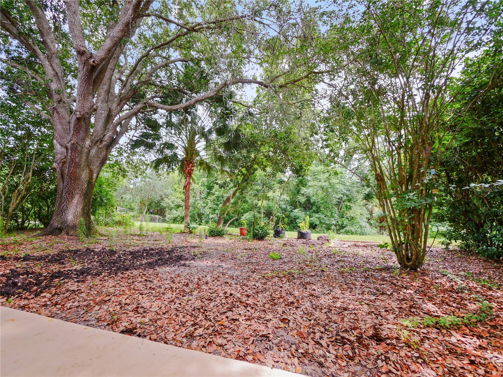 2926 Egrets Landing Drive Lake Mary FL 32746 O6412618 image23