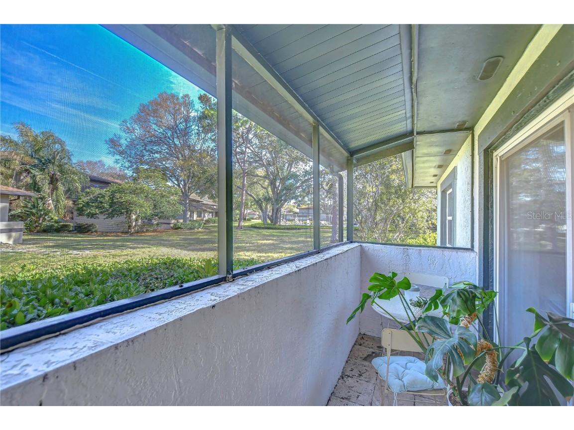 2926 Lichen Lane #A Clearwater FL 33760 TB8453654 image14