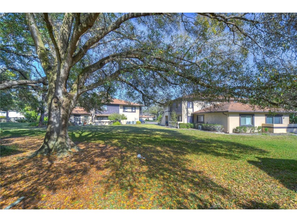 2926 Lichen Lane #A Clearwater FL 33760 TB8453654 image16
