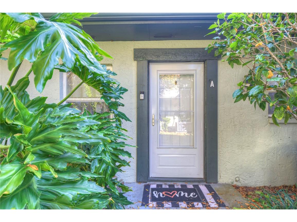 2926 Lichen Lane #A Clearwater FL 33760 TB8453654 image2