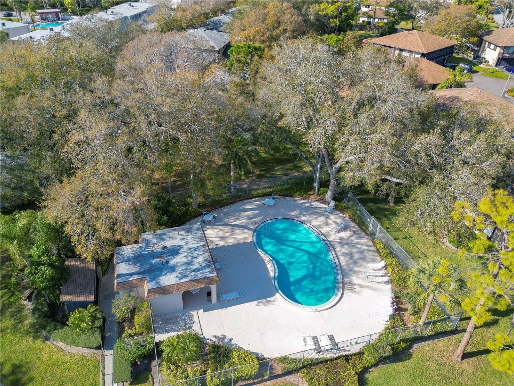 2926 Lichen Lane #A Clearwater FL 33760 TB8453654 image20