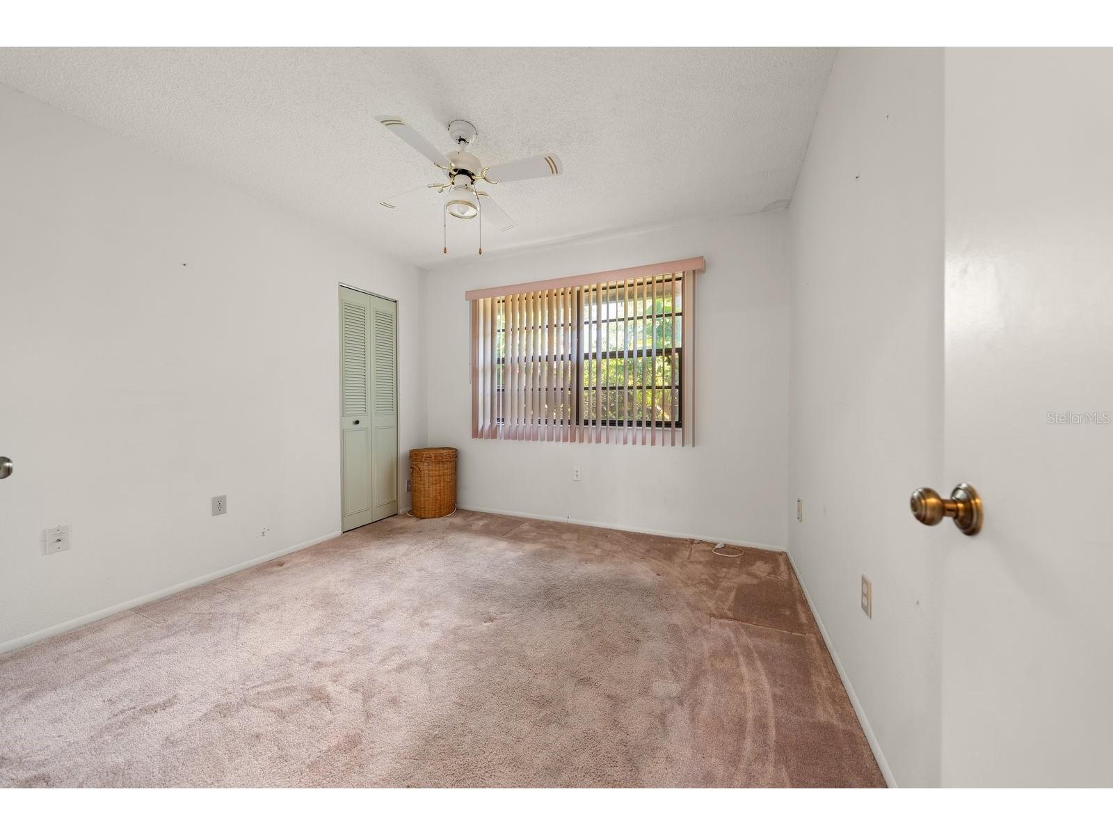 2926 Star Apple Court Palm Harbor FL 34684 TB8521358 image20